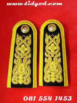 อินทรธนูการไฟฟ้า