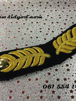 แผงคอขอเฝ้าราษฎร,กระดุมทอง