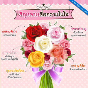 ความหมายดอกกุหลาบ