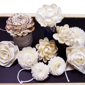 ดอกไม้ดูดน้ำหอม