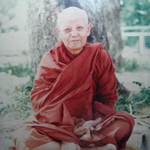 หลวงพ่อผาง จิตตคุตโต