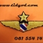 ปีกดิ้นทหารอากาศชั้น3-2-1