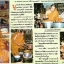 น้ำมันหัวใจเสือ น้ำมันพรายพญาเสือโคร่ง