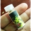 ผงเสน่ห์ยาแฝด รักลุ่มหลง (เสน่ห์ยาแฝดสูตรเขมรต่ำ )