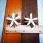 ดอกเล็บมือนาง 4.5cm Dia.