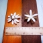 ดอกเล็บมือนาง 4.5cm Dia.