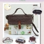 PINN Hand Bag No.5 C