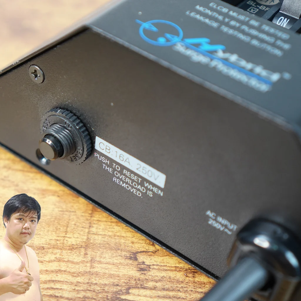 SurgeGuard SE-6 เครื่องกรองกระแสไฟฟ้า ชนิดตัดไฟรั่วอัตโนมัติ (Hybrid Surge Protector) 6 ช่อง