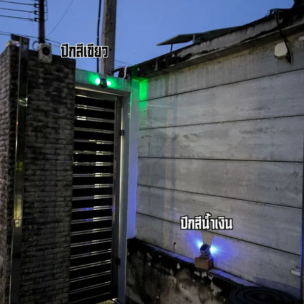PTH-SWL-01 ไฟโซลาร์ตกแต่งปีกผีเสื้อพร้อมเซ็นเซอร์ PIR จับความเคลื่อนไหว สีเขียว/สีน้ำเงิน image 2 PTH-SWL-01 ไฟโซลาร์ตกแต่งปีกผีเสื้อพร้อมเซ็นเซอร์ PIR จับความเคลื่อนไหว สีเขียว/สีน้ำเงิน image 2