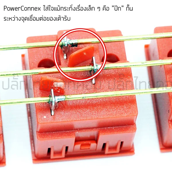 ปลั๊กไฟ PowerConneX PXC5PHTNS-TS06UB02 มาตรฐานอังกฤษผ่าน มอก.ไทย 6 ช่อง 2 USB(หัวงอ) image 5 ปลั๊กไฟ PowerConneX PXC5PHTNS-TS06UB02 มาตรฐานอังกฤษผ่าน มอก.ไทย 6 ช่อง 2 USB(หัวงอ) image 5